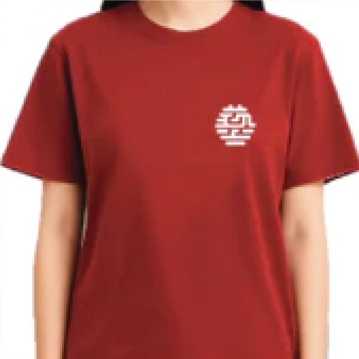 NTUA｜T-shirt ｜小LOGO