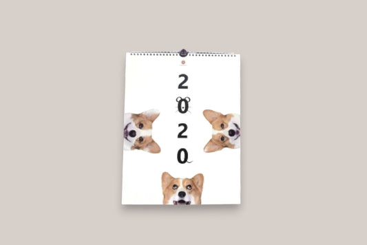 連環泡有芒果｜2020掛曆